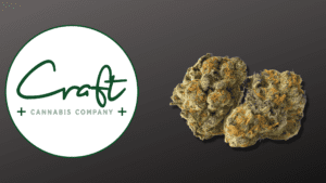 Gelato Cookies: The Delicious Indica-Dominant Hybrid